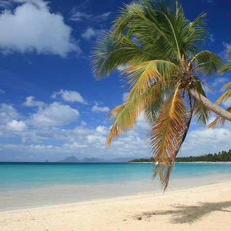 - Les Pieds Dans L'Eau A 50M De La Plage, Cote Mer Caraibe - Domaine De L'Anse Caritan - Sainte-Anne - Buitenkant foto