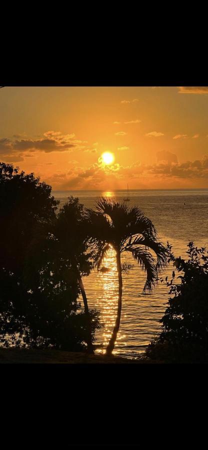 - Les Pieds Dans L'Eau A 50M De La Plage, Cote Mer Caraibe - Domaine De L'Anse Caritan - Sainte-Anne - Buitenkant foto